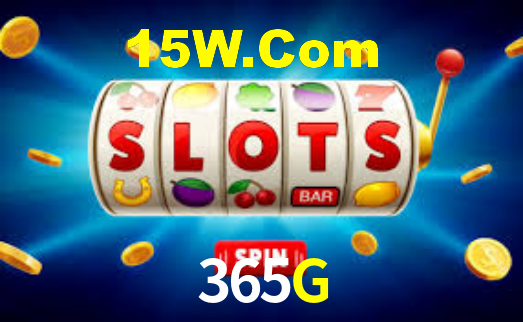 365G - Installation Guide